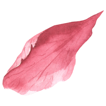 61